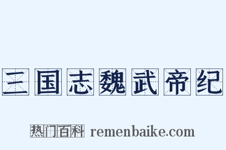三国志魏武帝纪是什么意思的图片